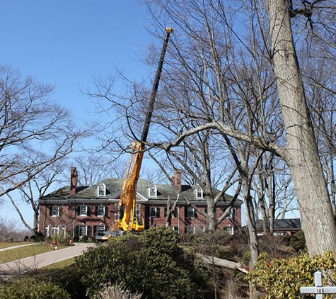 Mclellan Tree Service Inc. - Bristol, CT