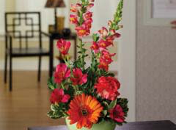Atrium Floral Gifts - Buffalo, NY