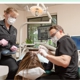 Zubkov Dental