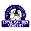 Loyal Canines gallery