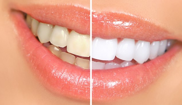 Dental Plus - Maroubra, NSW