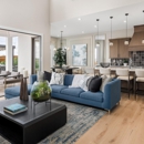 Wildspring - Real Estate Developers