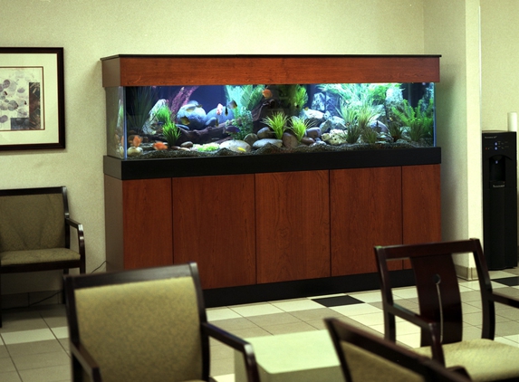 Affordable Aquarium Service - San Mateo, CA