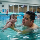 American Swim Academy - Swimming Instruction