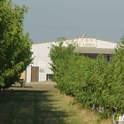 G & S Farms