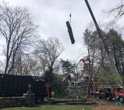 Dillon Tree Service - Shrewsbury, MA