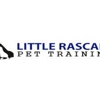 Little Rascals Pet Training gallery