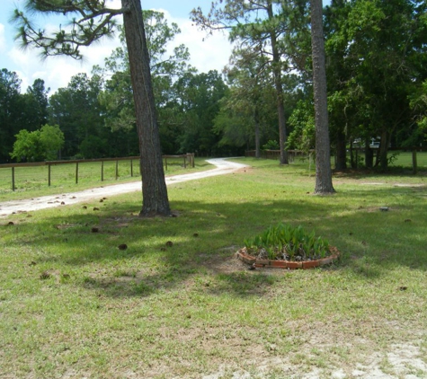 Penny Lane Stables - Middleburg, FL