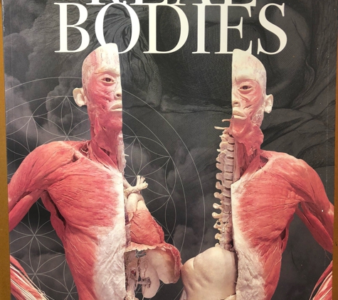 Real Bodies - Las Vegas, NV