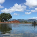 Ali'i Agricultural Farms