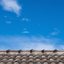Harris & Sons Roofing - Roofing Contractors