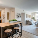 Arlington Pointe Apartments - Apartments