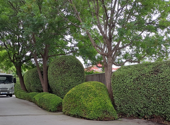 Hortum Tree Services - Jerrabomberra, NSW