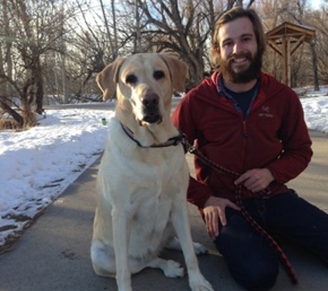 Happy Paws Cats and Dogs - Fort Collins, CO