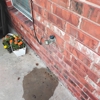Bison Plumbing Solutions gallery