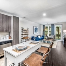 The Edition - Apartment Finder & Rental Service