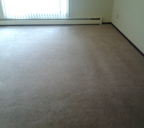 Eco Brite Carpet Cleaning - Saint Paul, MN