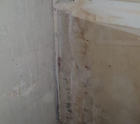 SD Mold Inspection - San Diego, CA