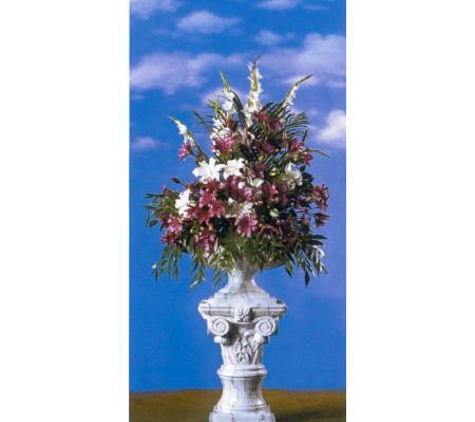 Plants For Hire Pty Ltd - Dingley Village, VIC