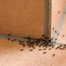 Tri-County Pest Control - Pest Control Equipment & Supplies