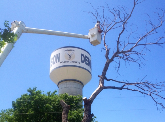 Ross Tree Service - Denison, TX