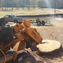 Juds Big Beaver Stump Grinding - Stump Removal & Grinding
