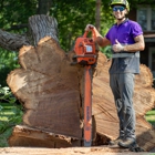 Bullys Tree Service