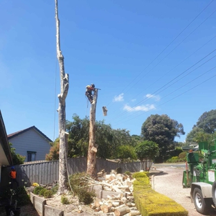 Rob's Tree Service - Tyers, VIC