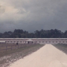 Port Orange Stables