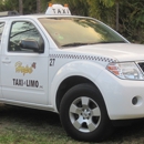 HOPE TAXI AND LIMO INC - Transportation Services