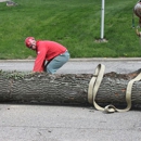 Boyd Brothers Tree Care - Tree Service