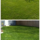 By The Yard - Weed Control Service