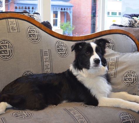 Sandy Bay Holistic Veterinary Clinic - Sandy Bay, TAS