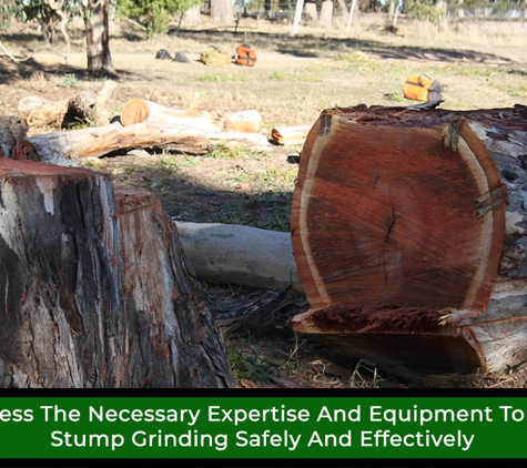 Regal Trees Pty Ltd. We Possess The Necessary Expertise And Equipment To Execute Stump Grinding Safely And Effectively