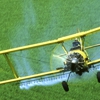 Steggs Aerial Spraying gallery