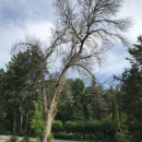 Voss Tree Mendon Tree Service - Tree Service