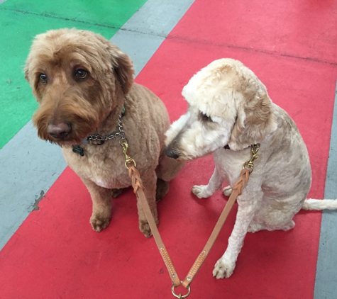 First Friend K-9 Training - Fishers, IN