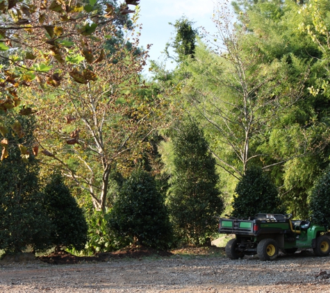 Mr. Jack's Tree Farm - Charlotte, NC. Mr. Jack's offers Evergreen, Ornamental, Shade & Fruit trees to the public.