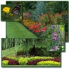 TLC Total Lawn Care gallery