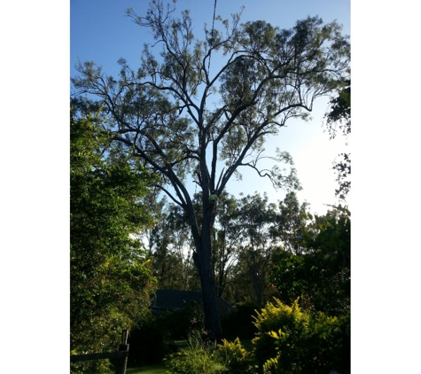 Treebiz Tree Services