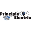 Principle Electric gallery