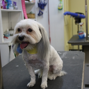 4 Paws Pet Grooming - Escanaba, MI