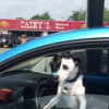 Casey's General Store gallery
