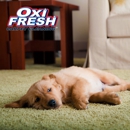 Oxi Fresh Of San Diego Carpet Cleaning - Carpet & Rug Cleaners