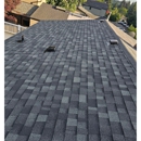 Forever Roofing - Windows