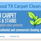 Carpet Cleaner Friendswood Texas