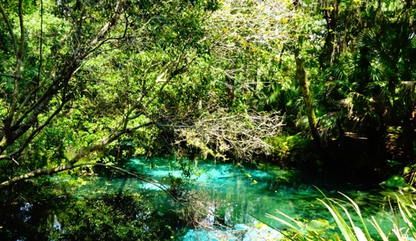 Juniper Springs Recreation Area - Silver Springs, FL