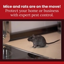 Proper Pest Management - Pest Control Services