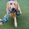 Paws 'n' Rec - Sarasota gallery