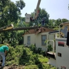 Parker Tree & Excavation Services  LLC gallery